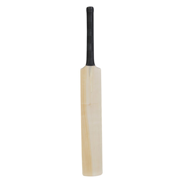 Kashmiri Plain Cricket Bat