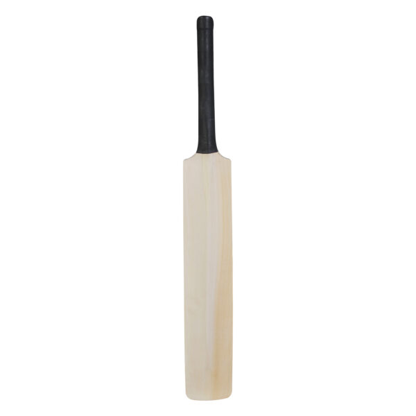 Kashmiri Plain Cricket Bat - Image 2