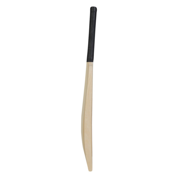 Kashmiri Plain Cricket Bat - Image 3