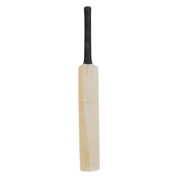 JD Sports Kashmir Willow Bat Plane Bat Full Size Bat - Image 3