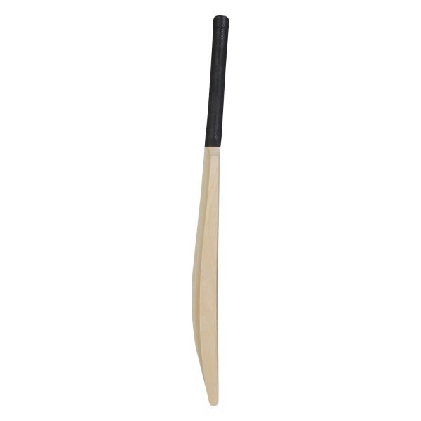 JD Sports Kashmir Willow Bat Plane Bat Full Size Bat